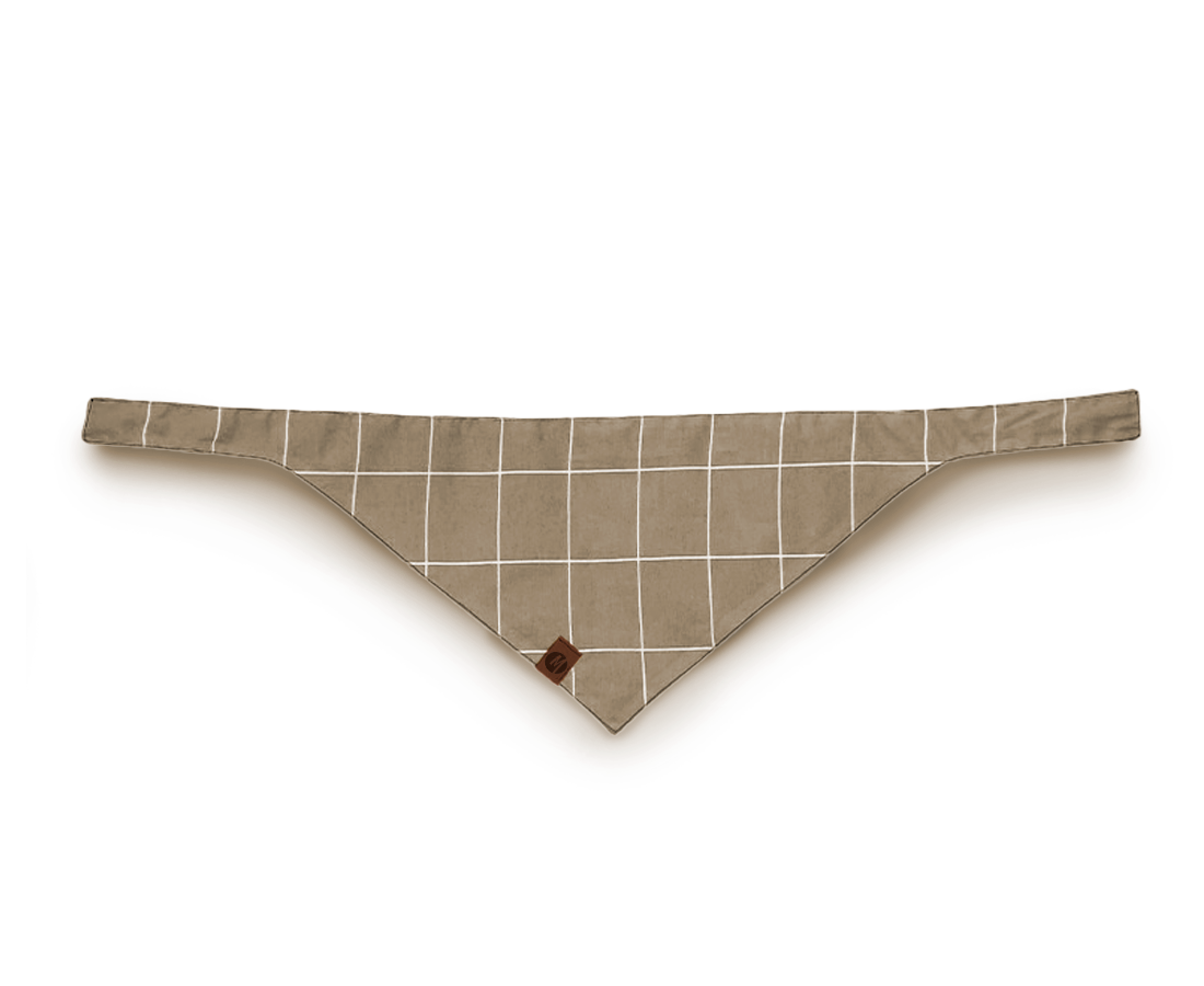 bandana4